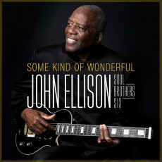 LP / Ellison John / Some Kind of Wonderful / Vinyl