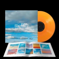 LP / 30 Seconds To Mars / It's The End Of The World / Orange / Vinyl