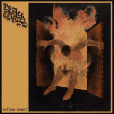 LP / Black Curse / Endless Wound / Vinyl
