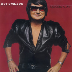 LP / Orbison Roy / Laminar Flow / 750cps / Coloured / Vinyl