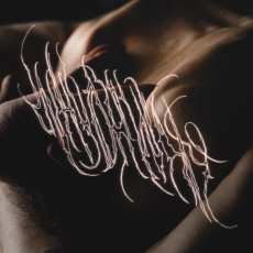 LP / Whyohwhy / Bruises / Vinyl