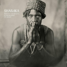 LP / Shabaka / Perceive Its Beauty,Acknowledge Its Grace / Vinyl