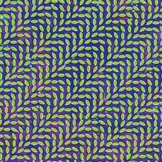 2LP / Animal Collective / Merriweather Post... / Coloured / Vinyl / 2LP