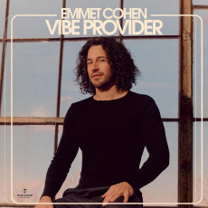 LP / Cohen Emmet / Vibe Provider / Vinyl
