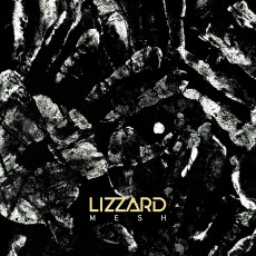 LP / Lizzard / Mesh / Vinyl