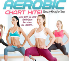 CD / Various / Fitness & Workout: Aerobic Cha