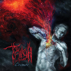 CD / Taiga / Cosmos