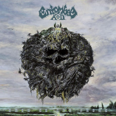 LP / Entombed A.D. / Back To The Front / Vinyl