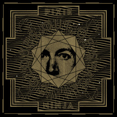 LP / Pixie Ninja / Colours Out Of Space / Vinyl