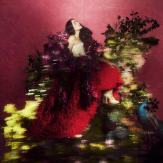 LP / Ware Jessie / Superbloom / Vinyl