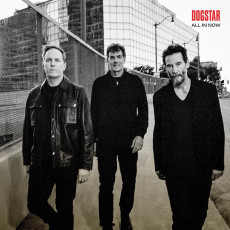 LP / Dogstar / All In Now / Vinyl