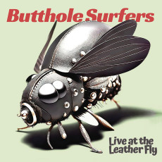 CD / Butthole Surfers / Live At the Leather Fly