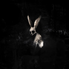 LP / Ghostkid / Follow The White Rabbit / Neon,Pink / Vinyl