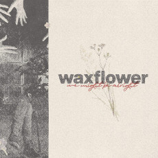 CD / Waxflower / We Might Be Alright / EP / Digipack