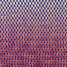 LP / Akinmusire Ambrose & Mary Halvorson / Slo-Mo Neon Lum... / Vinyl