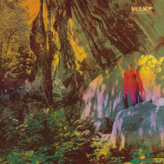 LP / Wake / Thought From Descent / Green Marbled / Vinyl