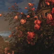 CD / Bence John / Love