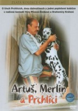DVD / FILM / Artu,Merlin a Prchlci