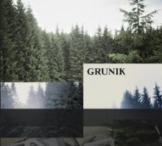 CD / Grunik / Ozvny