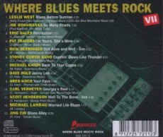 CD / Various / Where Blues Meets Rock VII