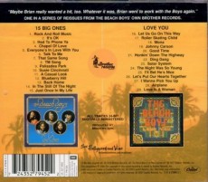CD / Beach Boys / 15 Big Ones / Love You