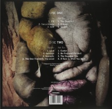 2LP / Slipknot / 5:The Gray Chapter / Vinyl / 2LP