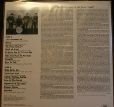 LP / Beatles / Decca Tapes / Vinyl / Clear