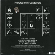LP / Descendents / Hypercaffium Spazzinate / Vinyl