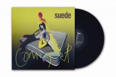 LP / Suede / Coming Up / Vinyl