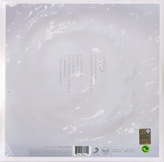 LP / Kings Of Leon / Walls / Vinyl