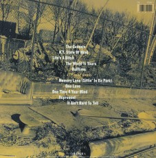 LP / Nas / Illmatic / Vinyl
