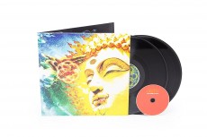 2LP/CD / Rikard Sjoblom's Gungfly / On Her Journey To The Sun / Vinyl / 2LP