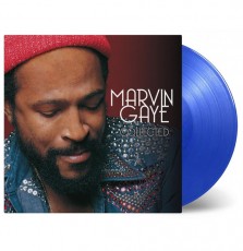 2LP / Gaye Marvin / Collected / Vinyl / 2LP