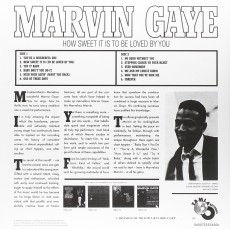 LP / Gaye Marvin / How Sweet It Is To Be ... / Vinyl