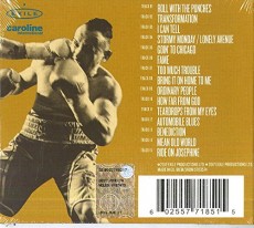 CD / Morrison Van / Roll With The Punches / Digisleeve