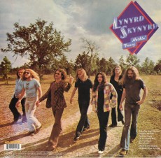 LP / Lynyrd Skynyrd / Nuthin'Fancy / Vinyl