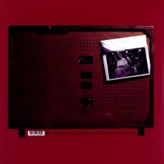 2LP / Wilco / A.M. / Special Edition / Vinyl / 2LP