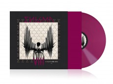 LP / Enigma / Fall Of A Rebel Angel / Vinyl