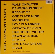 LP / 30 Seconds To Mars / America / Vinyl