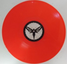 LP / Enigma / Voyageur / Vinyl / Colored