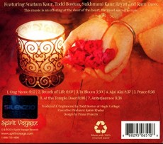 CD / Kaur Ajeet / At The Temple's Door / Digisleeve