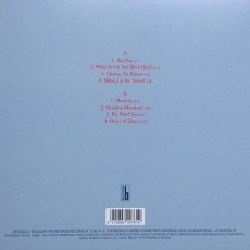 LP / Baumann Peter / Trans Harmonic Nights / Vinyl