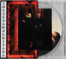 CD / These New Puritans / Inside the Rose