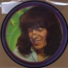 LP / Wyman Bill / Monkey Grip / Vinyl / Picture
