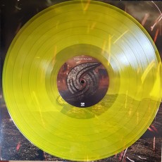 LP / Strauss Nita / Controlled Chaos / Vinyl / Coloured