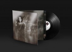 LP / This Mortal Coil / It'll End In Tears / Vinyl