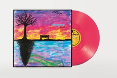 LP / Stereophonics / Kind / Vinyl / Coloured / Pink
