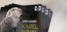 2LP / Plhal Karel / Sk s beduny / Vinyl / 2LP / SLEVA