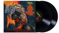 2LP / King Gizzard & The Lizard Wizard / Ice,Death,Planets / Vinyl / 2LP