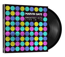 LP / Gaye Marvin / Greatest Hits Live In '76 / Vinyl